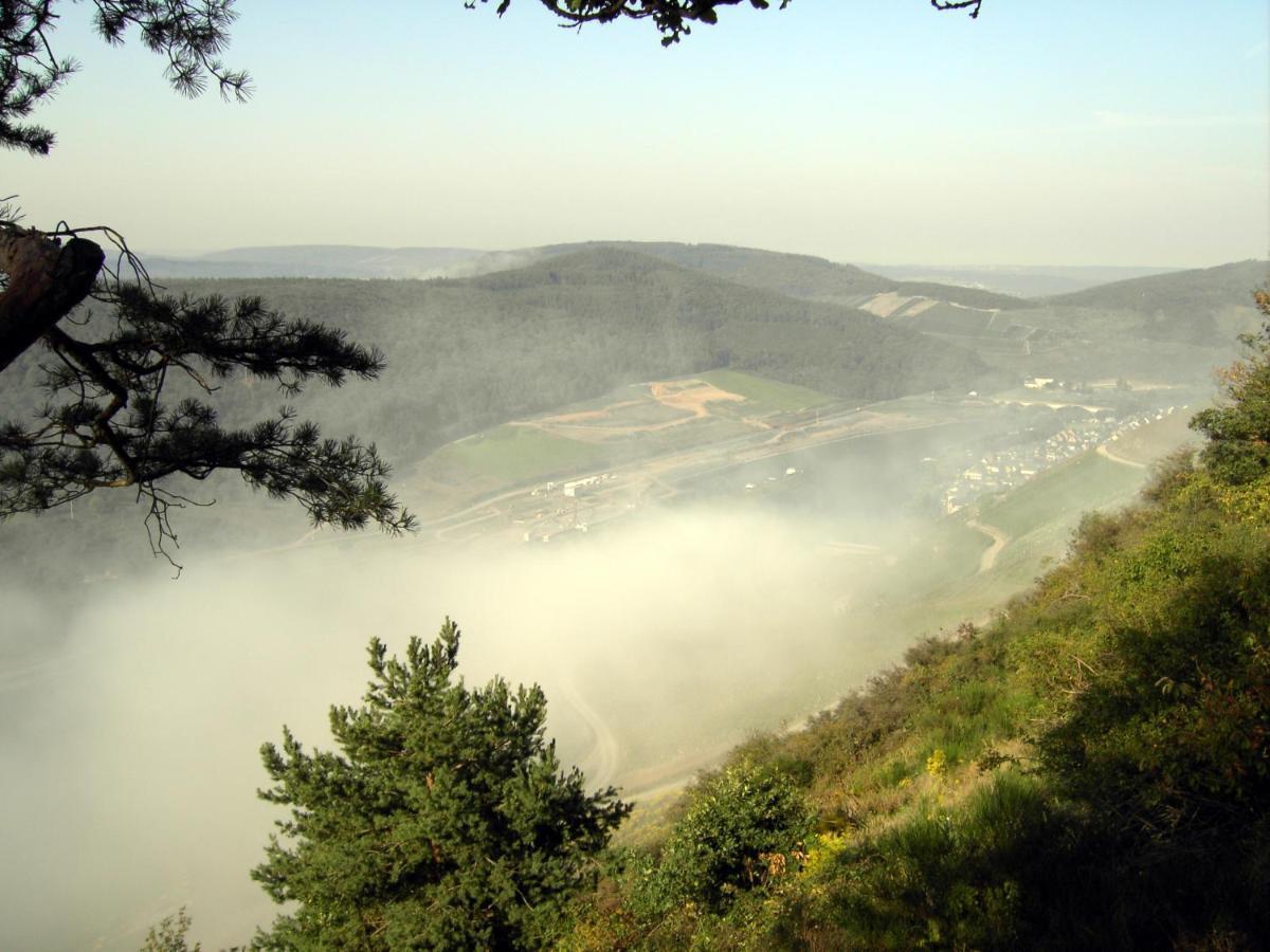 Weinstube Pension Moselbluemchen Zeltingen-Rachtig Dış mekan fotoğraf