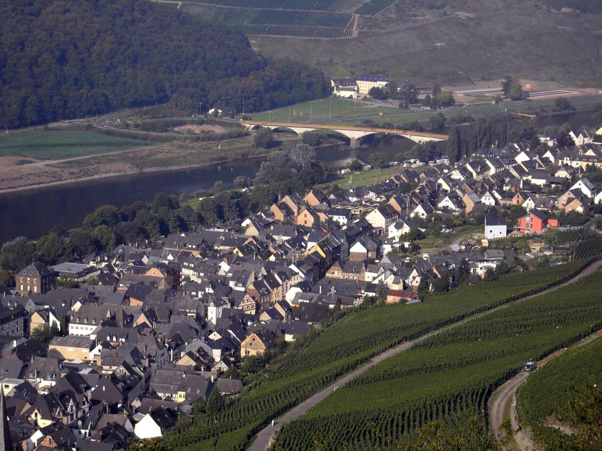 Weinstube Pension Moselbluemchen Zeltingen-Rachtig Dış mekan fotoğraf